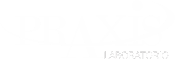 Laboratorio Praxis